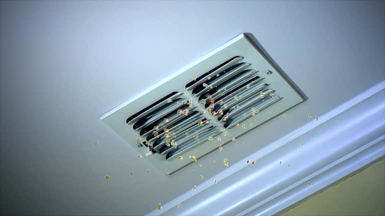 Best Home Air Vent Cleaning  in Dalhart, TX