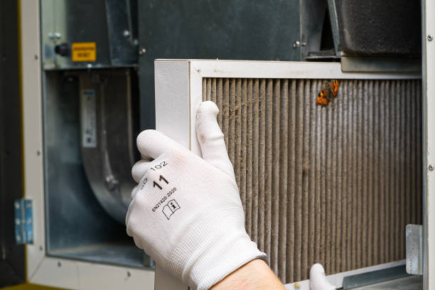 Best HVAC Duct Inspection Services  in Dalhart, TX