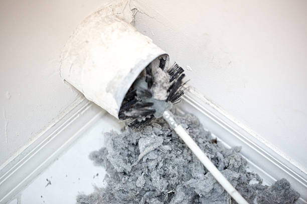 Best Home Air Vent Cleaning  in Dalhart, TX